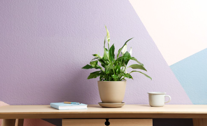Homeowners Warned Not to Make These Common Interior Decorating Mistakes Homeowners Warned Not to Make These Common Interior Decorating Mistakes